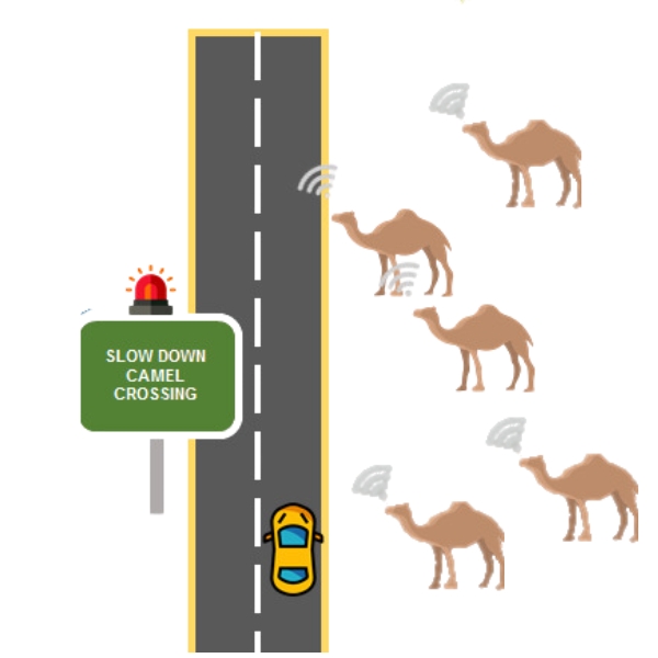 camel protection